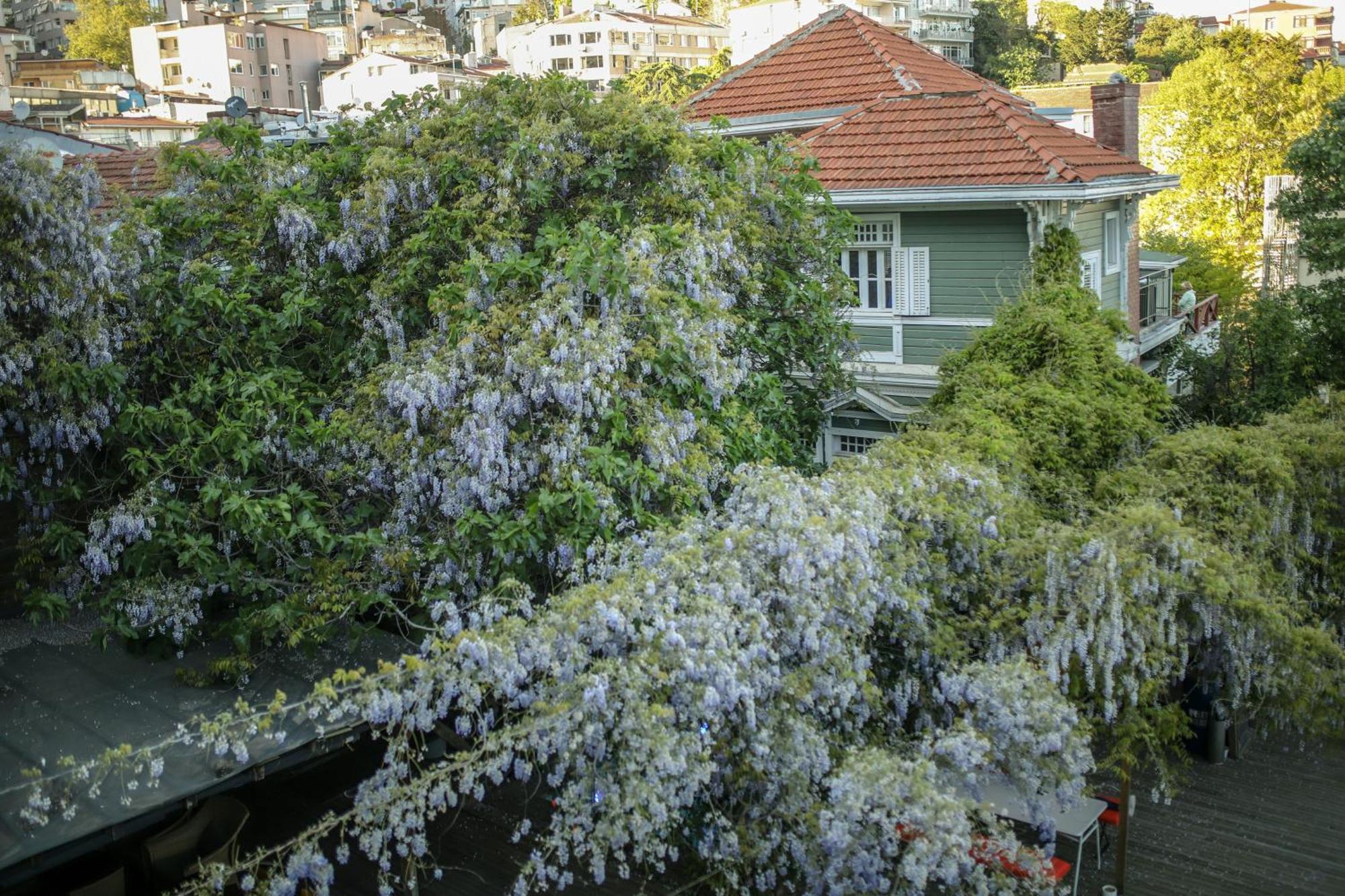 Loop Hotel Bosphorus اسطنبول المظهر الخارجي الصورة